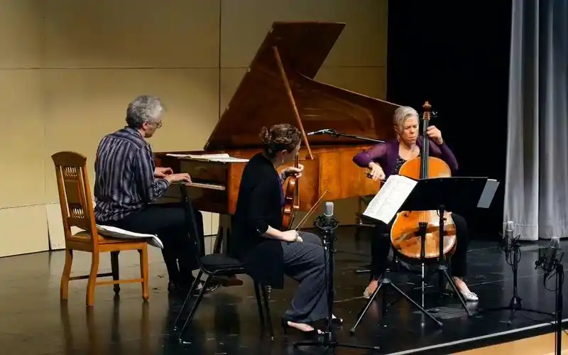 钢琴三重奏舒伯特降e大调andanteconmoto丨freivogeltomkins