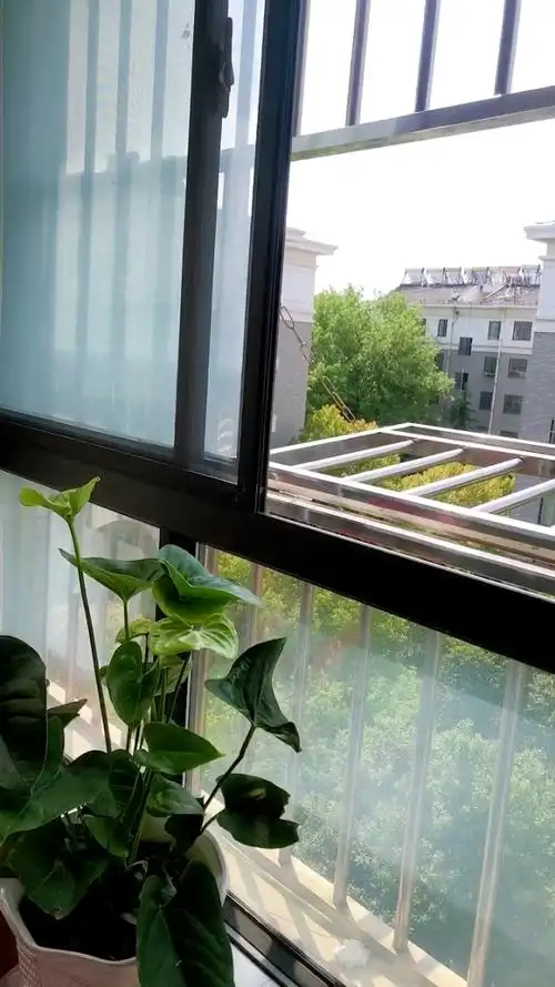 清晨的阳光洒进窗