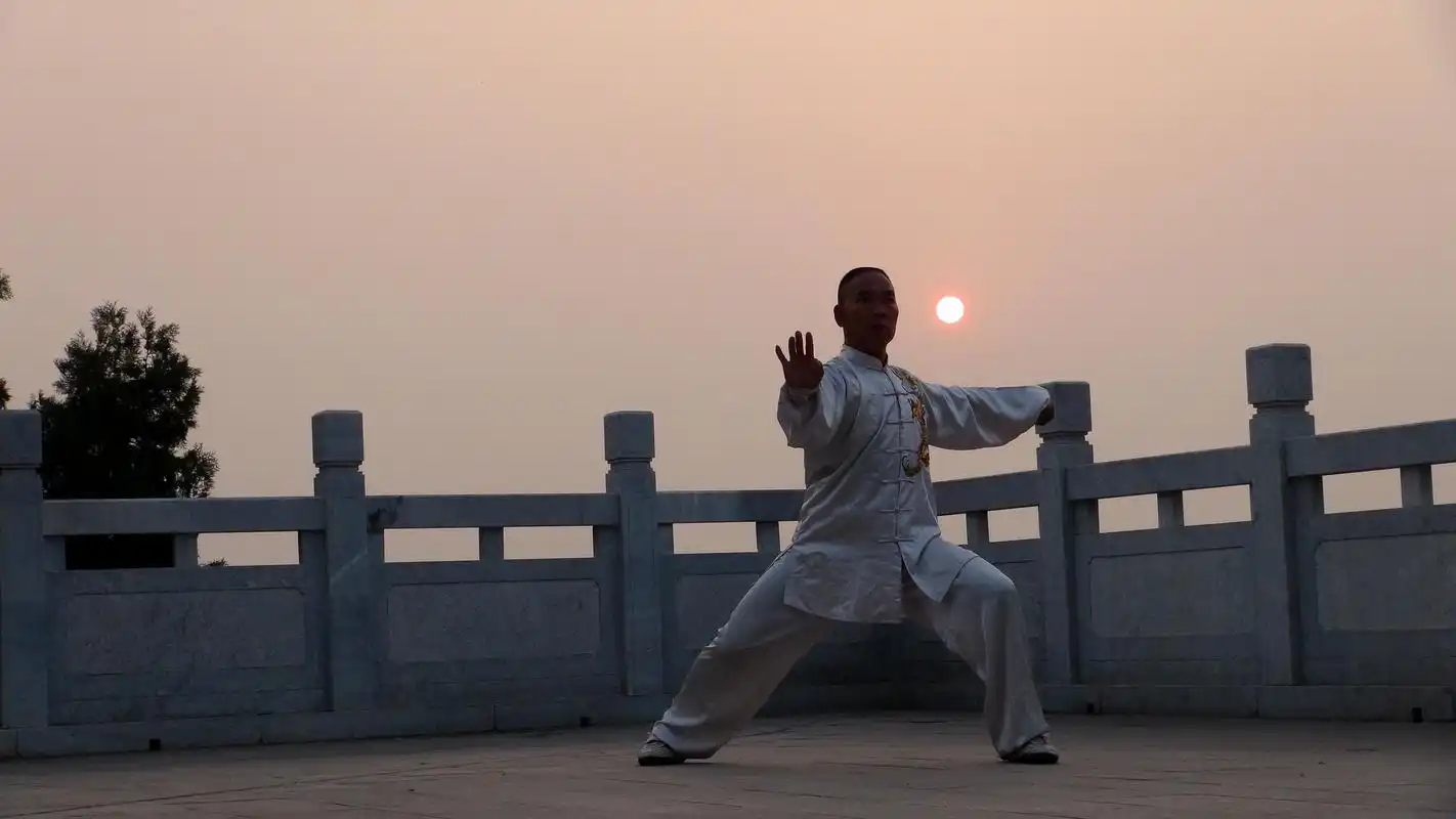 陈氏太极拳功夫架定式