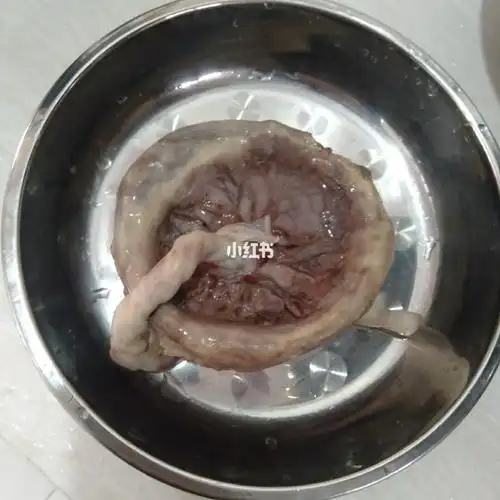 胎盘做给宝妈吃了
