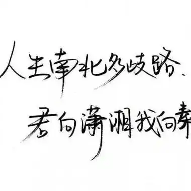 文字头像图片纯文字 好看的纯文字头像图片