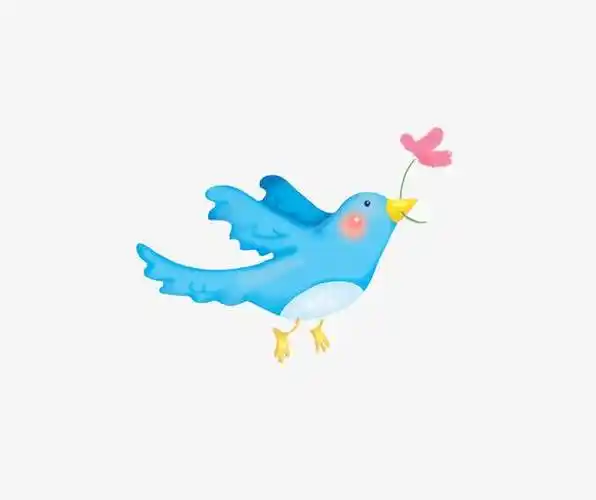 卡通鸟 卡通鸟图片大全可爱