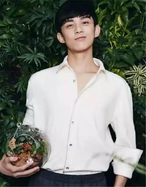 男明星谁穿白衬衫最帅