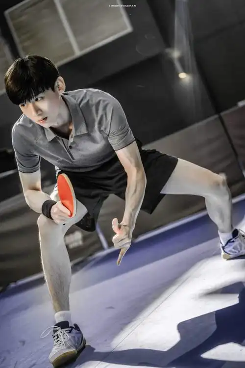 白敬亭 徐坦 荣耀乒乓