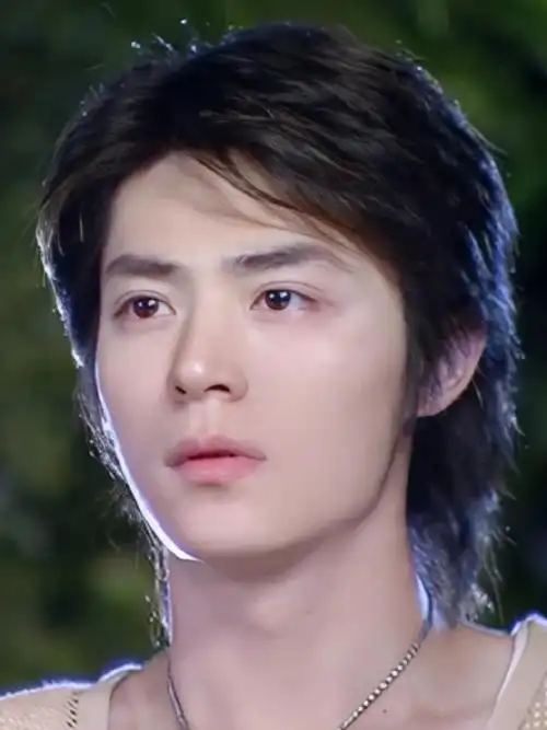 年轻时期的霍建华