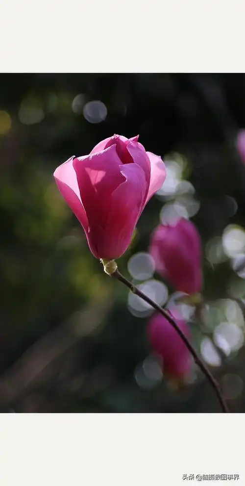 640_1269竖版 竖屏