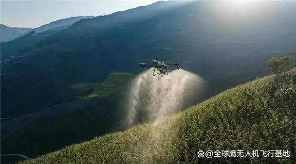 大疆植保无人机t60评测