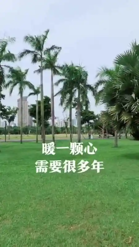 原谅一个人是很容易的但再一次的信任就没有那么容易了暖一颗心需要