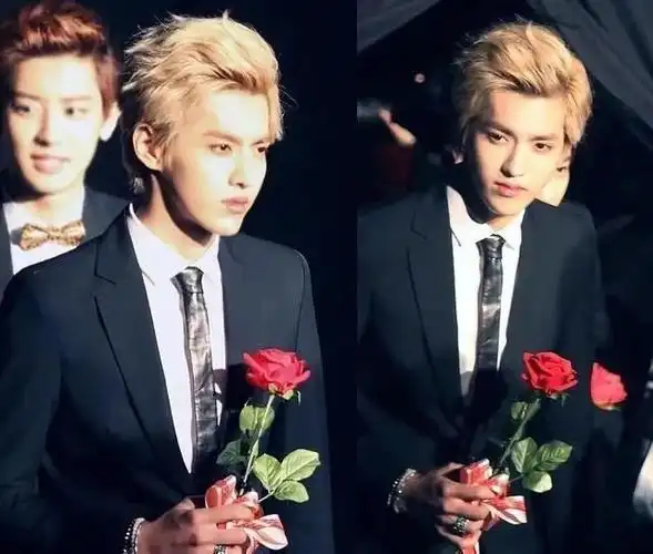 exo在国内基本垮掉,张艺兴一人带不动|金钟大|张艺兴|吴亦凡_新浪新闻