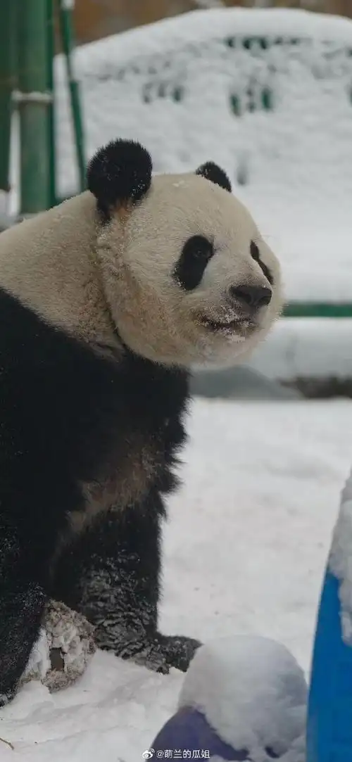 690_1495竖版 竖屏