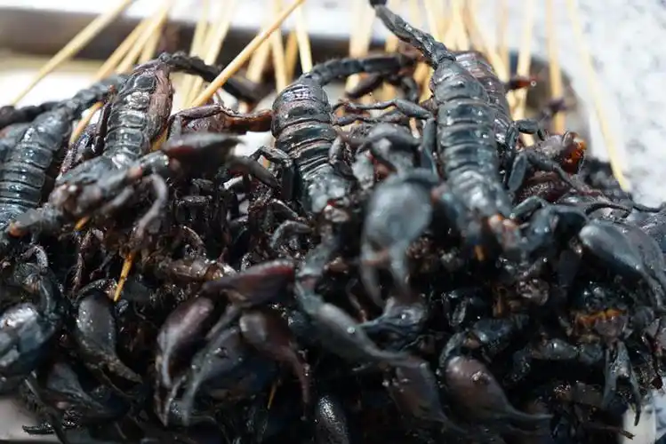 10日-18日东盟美食节 不出南宁也能品尝东南亚美食