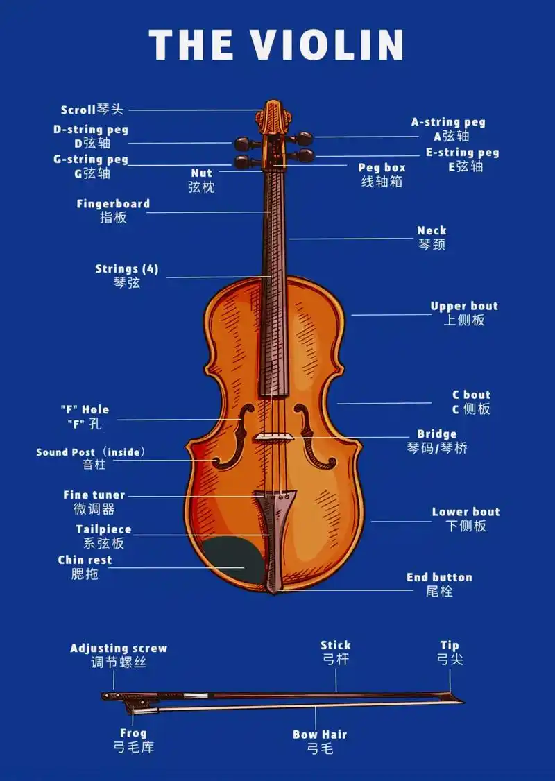 《小提琴构造以及把位图》#小提琴把位#小提琴入门#小提琴教学