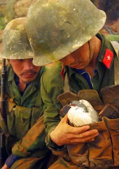 罕见纪实老照片对越自卫反击战解放军阵地生活照