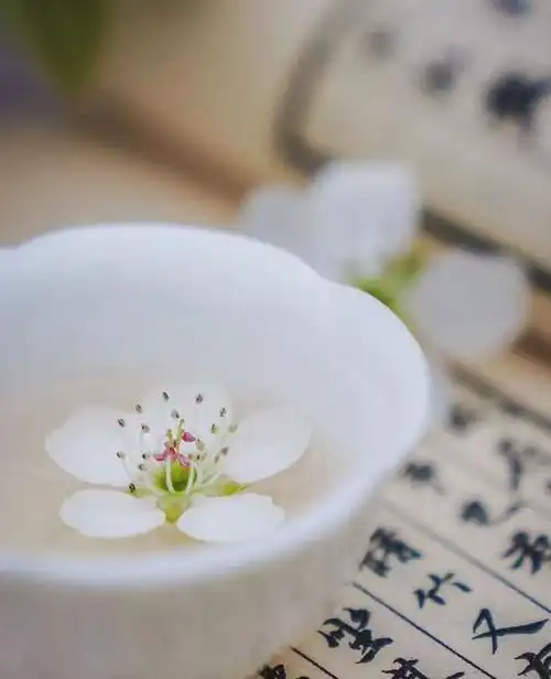 只有保持内心平静人生才能淡然从容