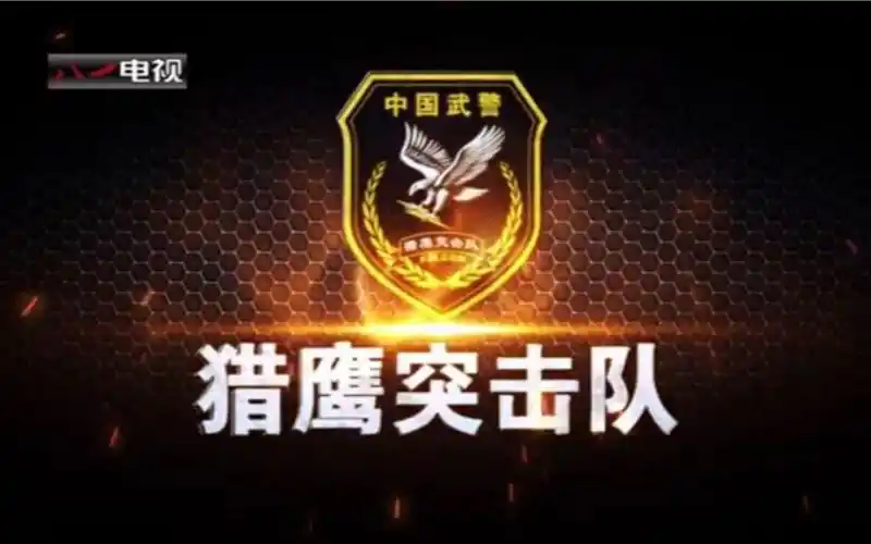 不可不看的最燃国家反恐特种部队——猎鹰突击队,上天入地潜水,无所不