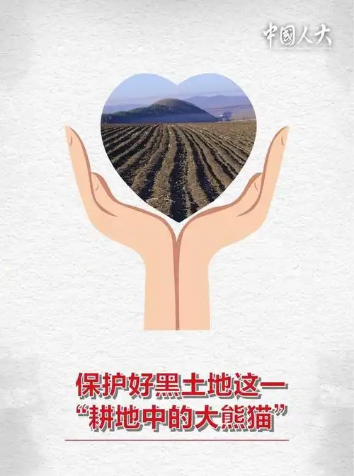 筑牢黑土地保护的法治屏障