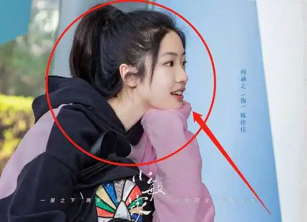 吴磊向涵之重新成为朋友,两人各自保证,单身一辈子都不会再复合