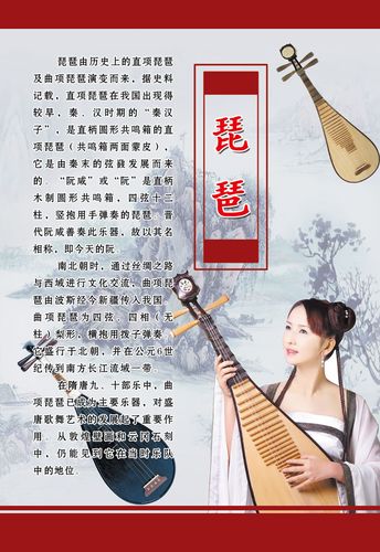 537海报印制海报展板素材147琵琶简介 个性定制