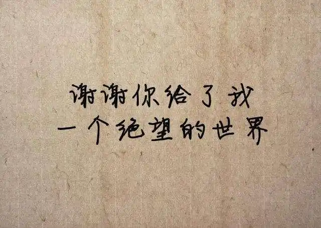 其它 你陪我一程 我记你一生的确,不是所有人都值得你付出,都值得你