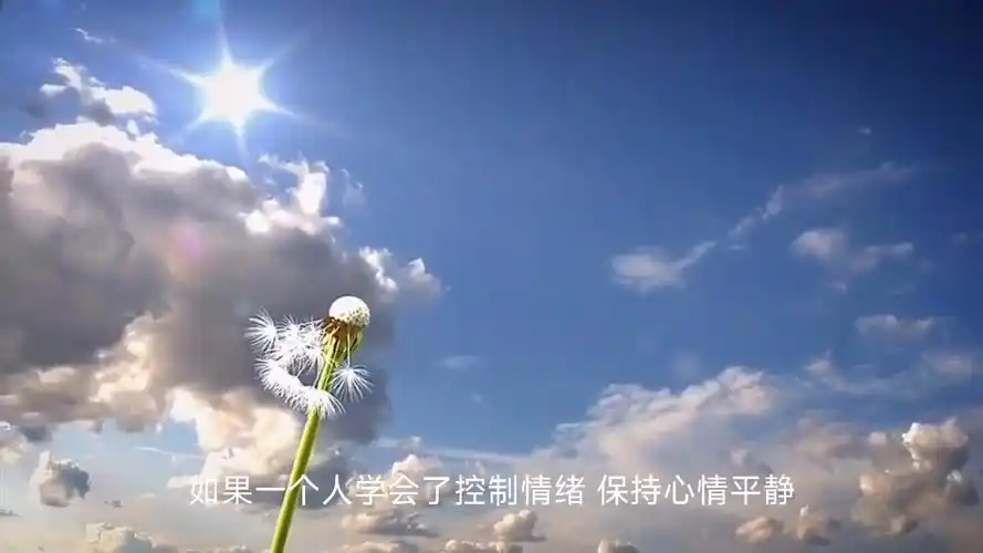 一个人学会了控制情绪,保持心情平静,时常面带微笑他就是成熟而优雅的