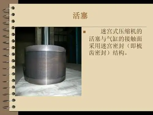 迷宫式压缩机ppt