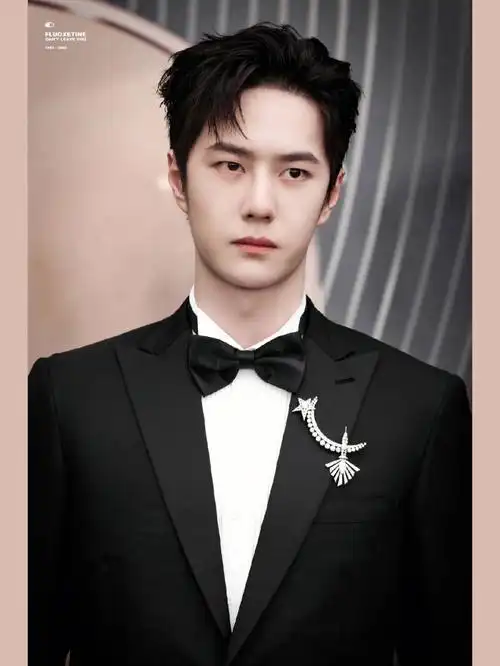 啊王一博这个香奈儿胸针