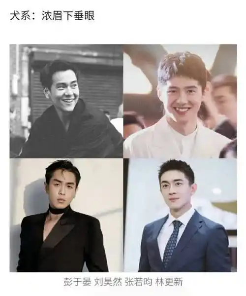 性的参照物是浓眉下垂眼,网友总结的代表人物是彭于晏,刘昊然,张若昀