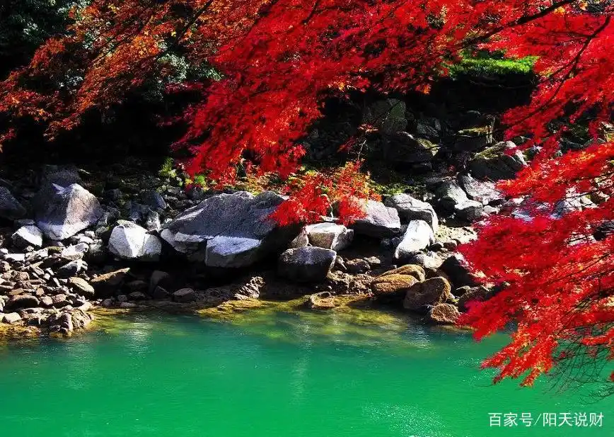 世界上最美的100张照片