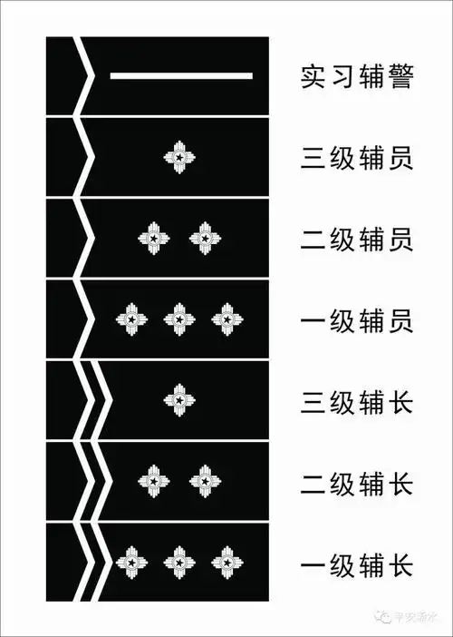 辅警又定级授衔啦,还涨了工资!