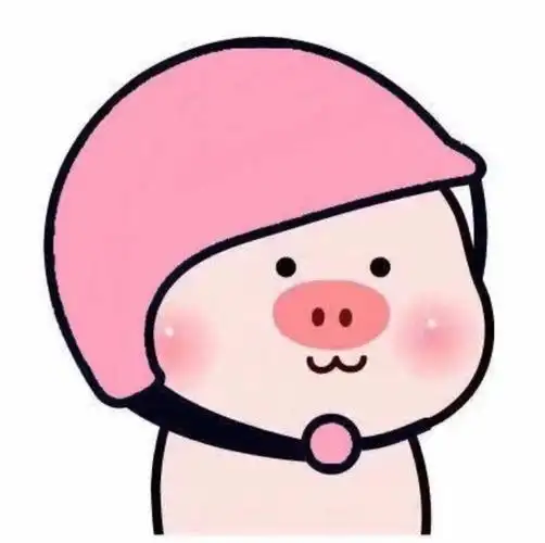 小猪头像,可爱,搞怪头像