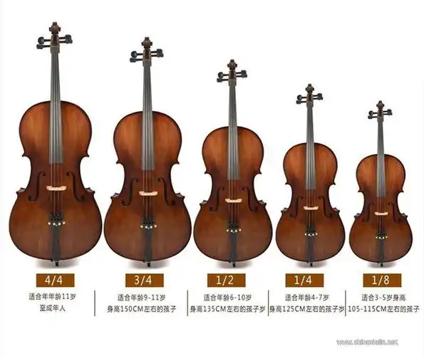 大提琴配件装配尺寸基本数据