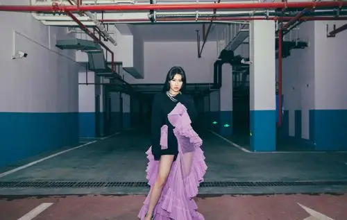 分享一组袁娅维图片给大家,图中的明星图片壁纸会点缀你的电脑桌面