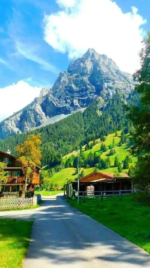 秋天的色彩唯美大自然手机壁纸-风景-手机壁纸下载-美桌网