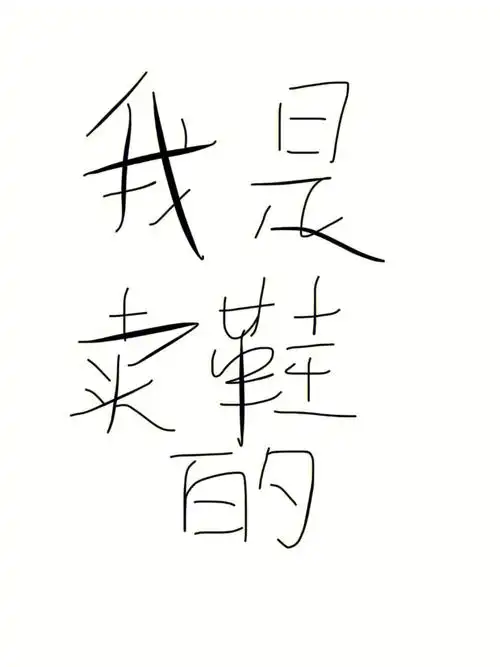 我是卖莆田鞋的