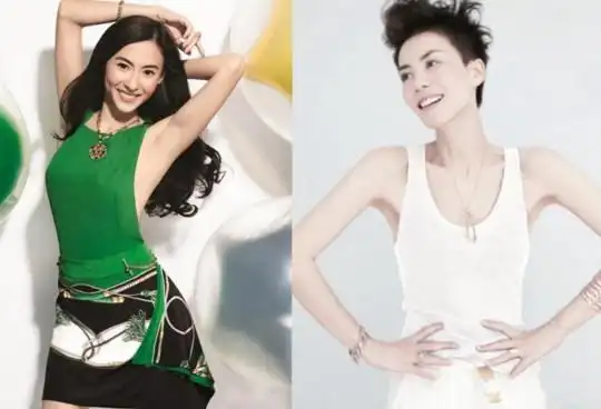 王菲pk张柏芝 谁与谢霆锋更般配