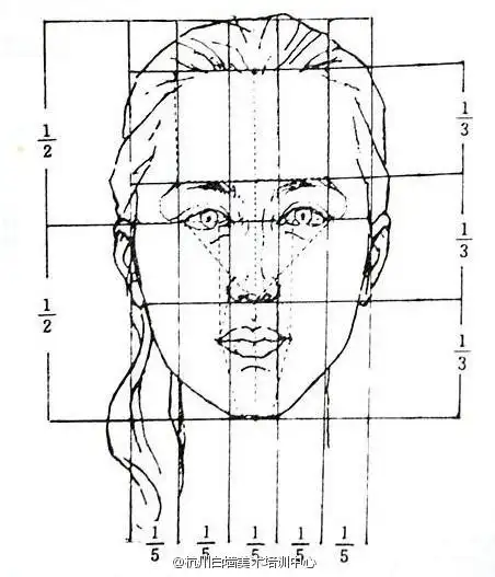 头像的基本比例:三庭五眼