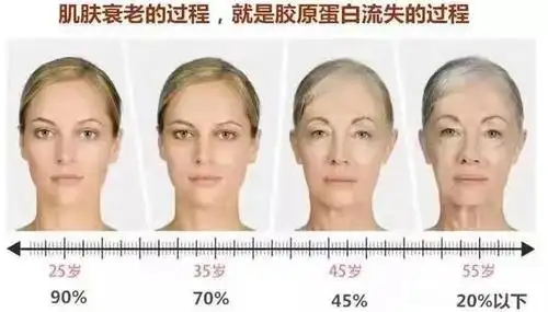 人体衰老的过程就是胶原蛋白流失的过程
