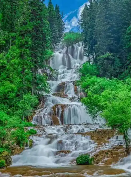 1080_1464竖版 竖屏