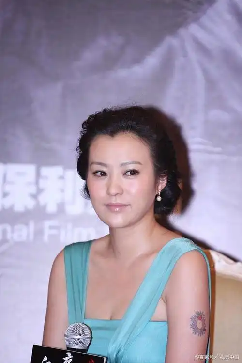 郝蕾的美貌不输孙俪高圆圆,只是她的风格更接地气