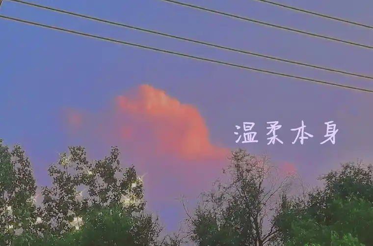 自制背景图 - 堆糖,美图壁纸兴趣社区