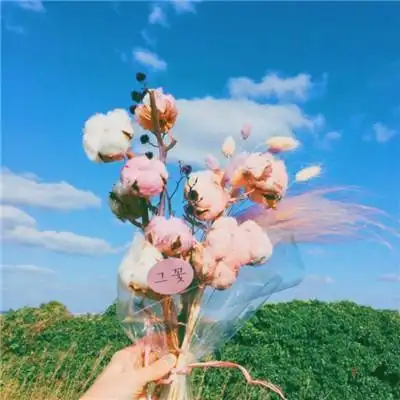 微信头像吉祥招财花朵 象征着好运的花卉头像精选