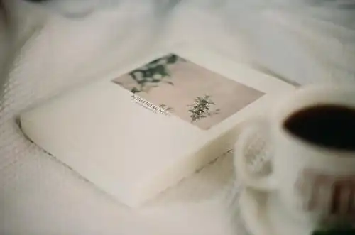 伴随着年轮的老去时光意境唯美图片