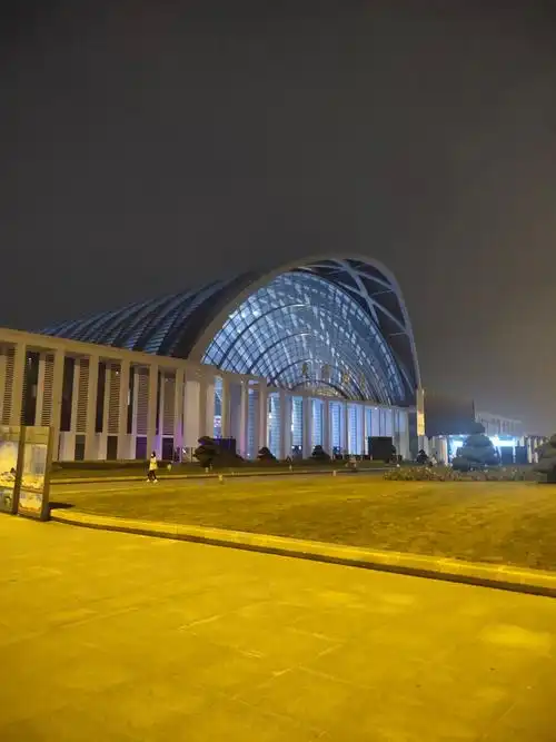 「夜色下的天津西站旅客带着倦色归途」