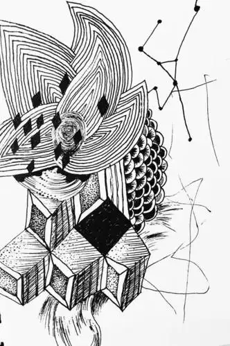 黑白点线面简笔画叶子