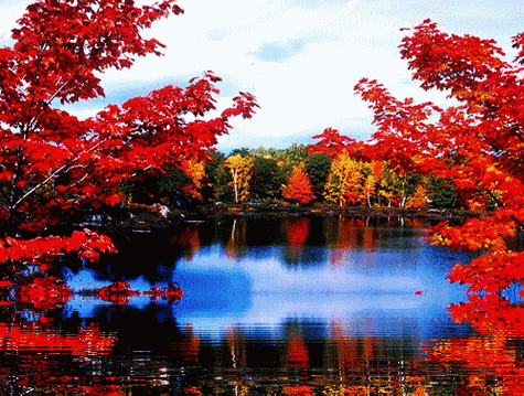 纳兰词里,最美的秋天