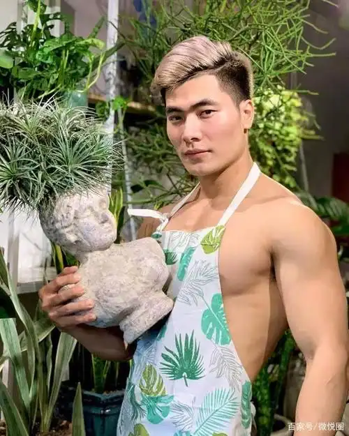 臂肌健硕,男友力简直爆棚肌肉男猛男胸肌肱二头肌健身海报健美先生