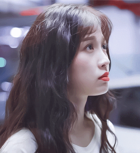 697_765gif 动态图 动图