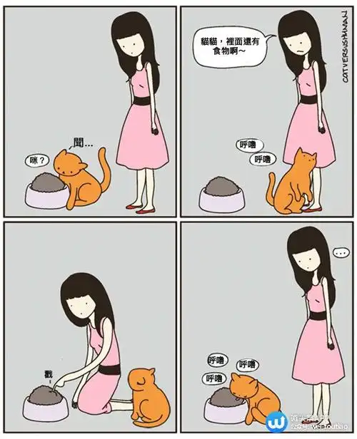 20张不是猫奴永远不会懂的 不得不爱混蛋猫皇插画