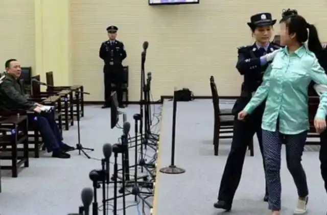 四川黑老大刘汉覆灭史枪决前400亿身家母亲孩子托付前妻