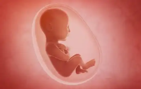 再馋也得忍住不吃的食物这些食物会影响羊水的质量